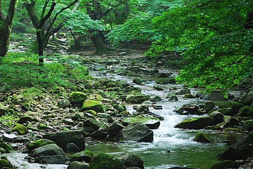 동학사를 따라 펼쳐진 계곡의 모습 